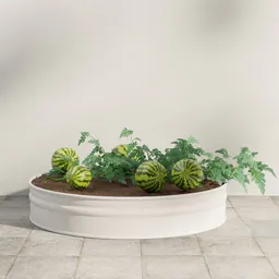 Watermelon Garden Planter
