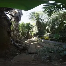 Pond