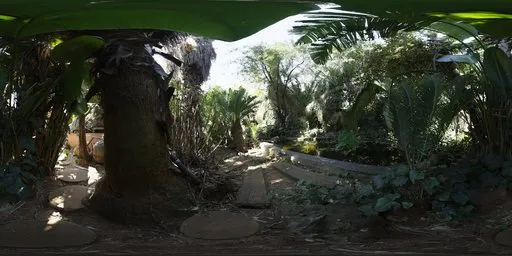Pond
