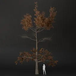 SJ-Winter Twilight Pine Tree