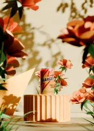 Elegant Product Visualization Scene