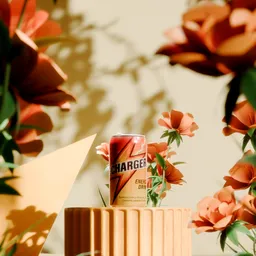 Elegant Product Visualization Scene