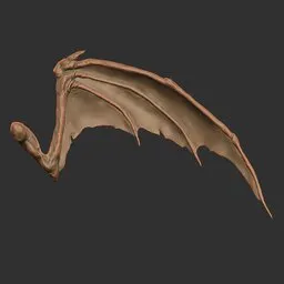 Classic Dragon Wing