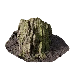 Mossy Stump