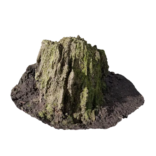 Mossy Stump