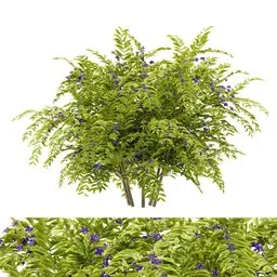 flower bush plant