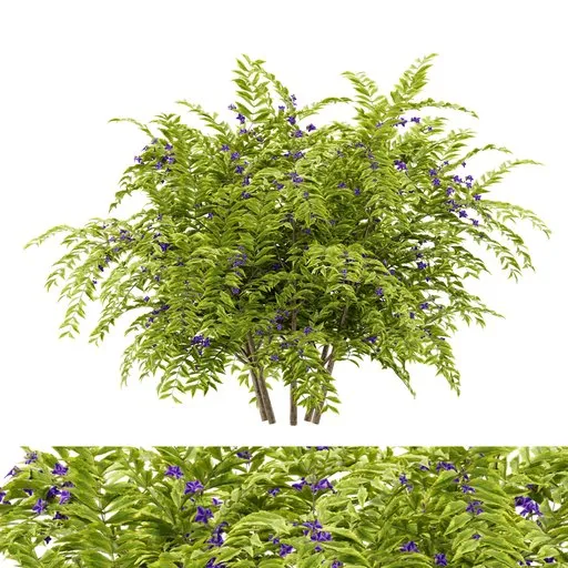 flower bush plant