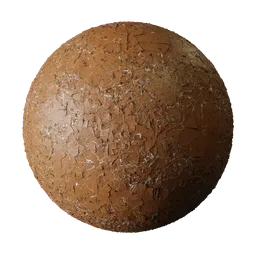 Cracked Speckled Dark Brown Eggshell