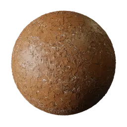 Cracked Speckled Dark Brown Eggshell