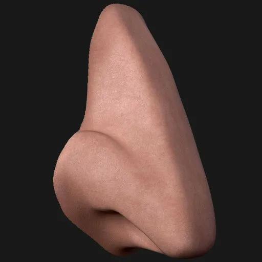 Tall Narrow