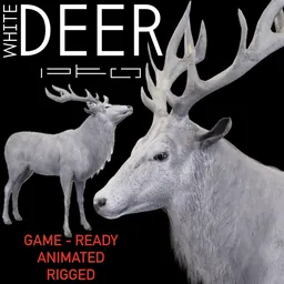 White Deer