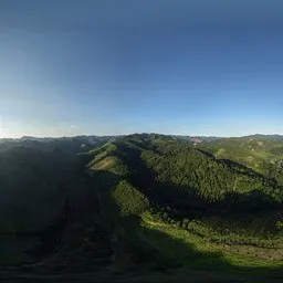 Sunset over the forest