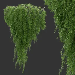 Simple Wall Hanging Plant
