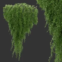 Simple Wall Hanging Plant