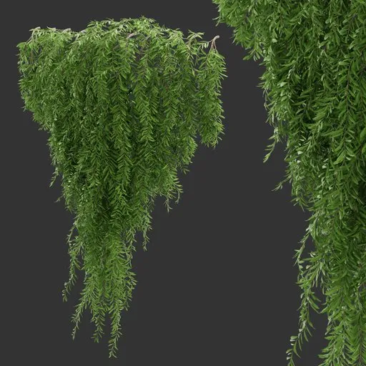 Simple Wall Hanging Plant
