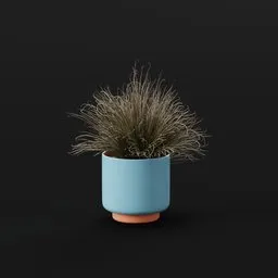 Grass Foothill Lrg Pot