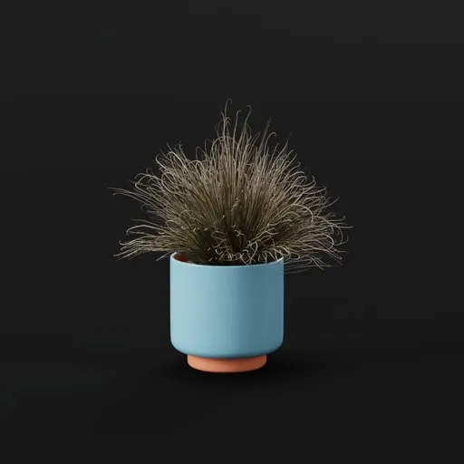 Grass Foothill Lrg Pot