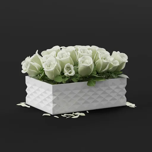White Rose