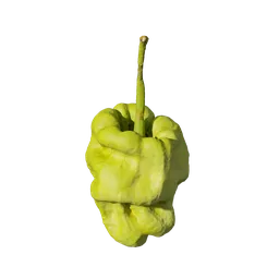 Green pepper