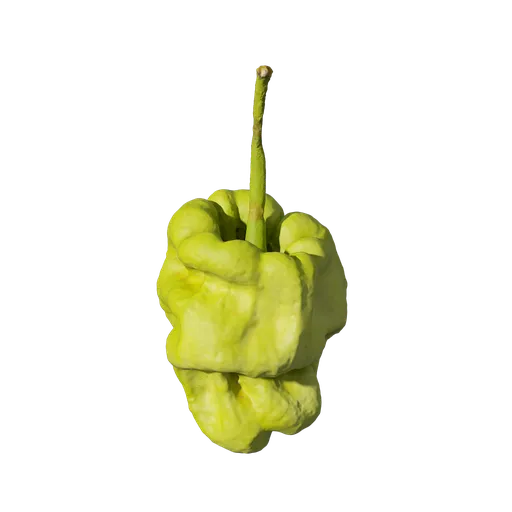 Green pepper