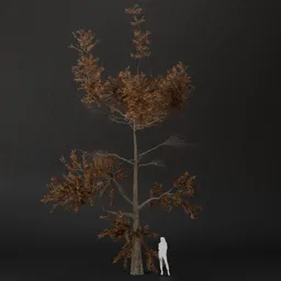 SJ-Bare Forest Pine Tree