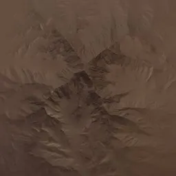 Landscape Rugged Brush