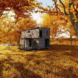 Weathered Autumn Forest