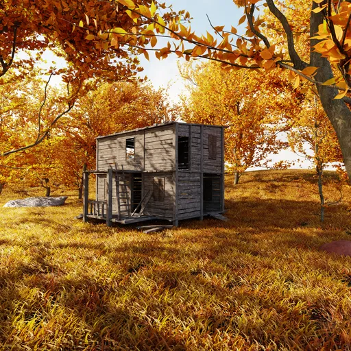 Weathered Autumn Forest