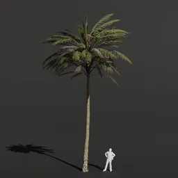 Palm Tree Medium Sparse