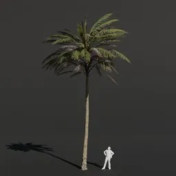 Palm Tree Medium Sparse