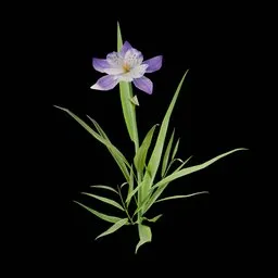 Realistic Flower