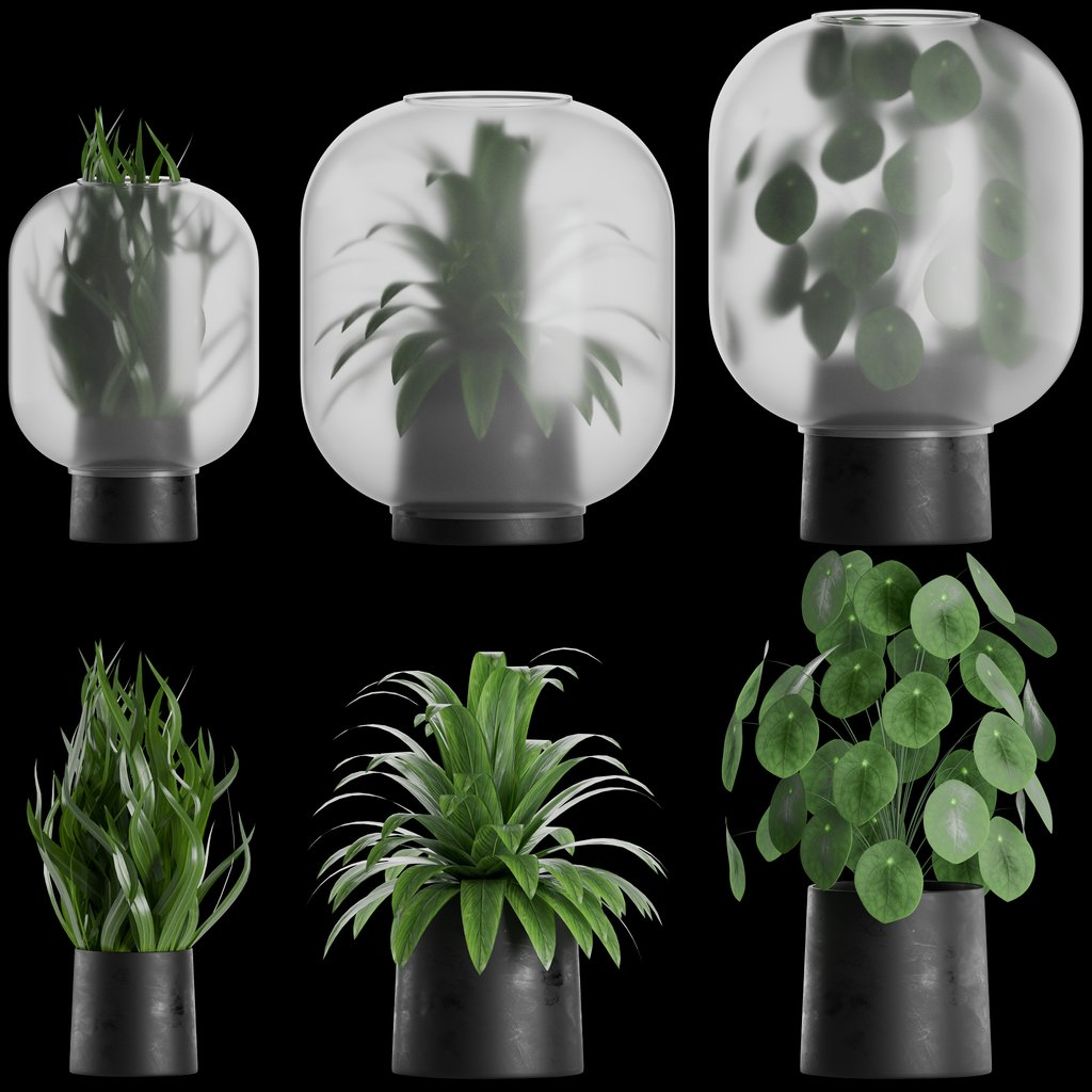 NEBL FLOWERPOT Indoor Plant | Indoor Plants models | BlenderKit