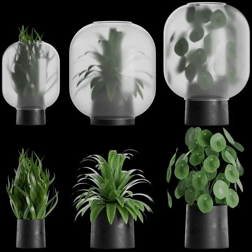 High-quality Blender 3D model showcasing trio of realistic indoor plants in stylized pots for architectural visualization.