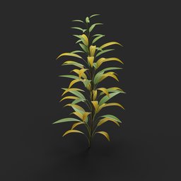 Random Plant