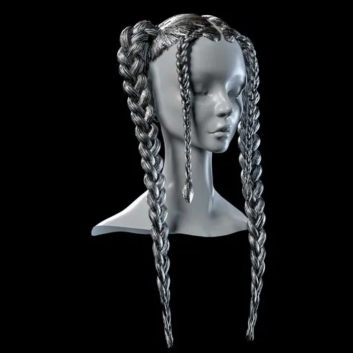 Braided Hair Single Mesh