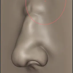 Male Nose Chubby