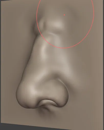Male Nose Chubby