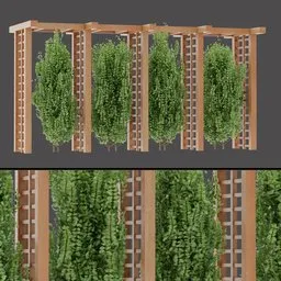 Dense Vine Pergola