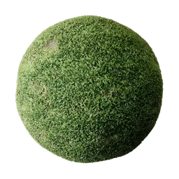 Green grass with pets