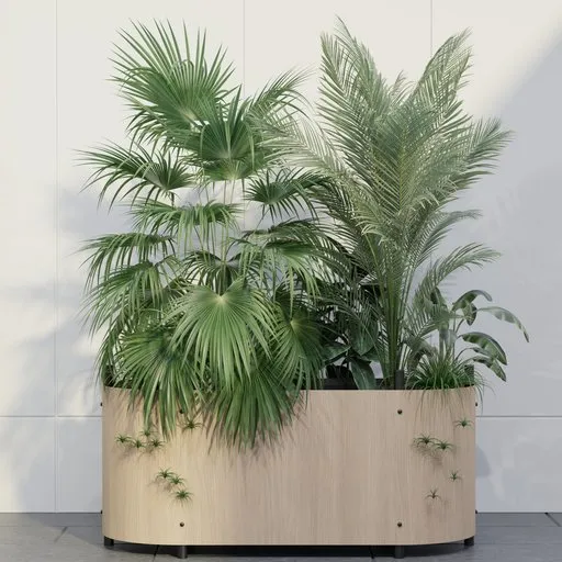 Tropical Palm Planter