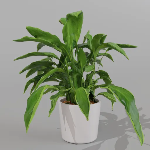 Plant pot