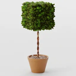 Bush - Standard Cube