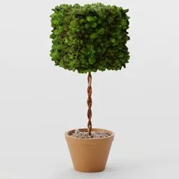 Bush - Standard Cube