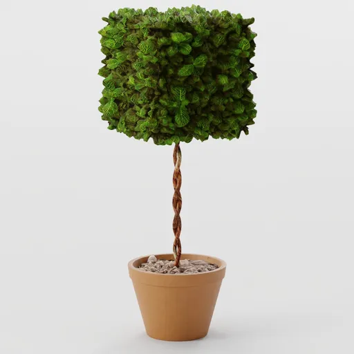Bush - Standard Cube