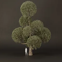 SJ-Ornamental Tree Round Whisper