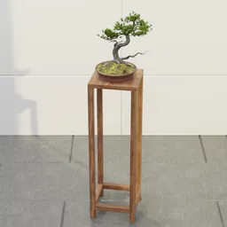 Twisted Pine Bonsai Stand