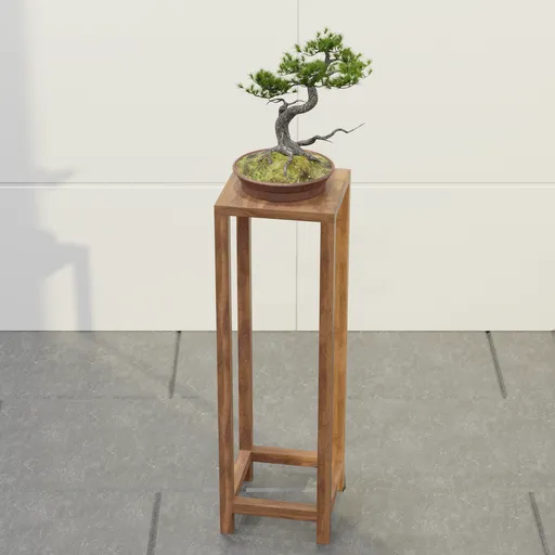 Twisted Pine Bonsai Stand