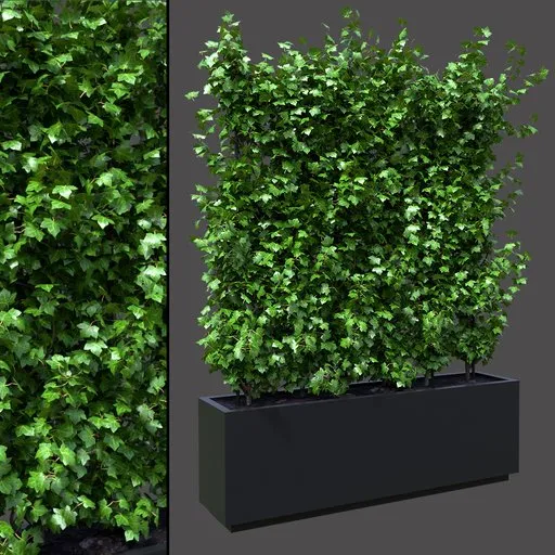 Ivy Planter Wall