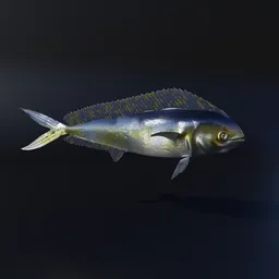 "3D rigged Mediterranean fish model, Llampuga, with a simple rig, ready to use in any Blender 3D scene. This Mahi-Mahi variant features tamed colors and metallic reflective surfaces, captured in a screenshot from a marine-themed game. Created by Mārtiņš Krūmiņš, perfect for vfx and ios app icon designs."