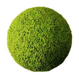 High-resolution green moss PBR texture for 3D modeling in Blender, suitable for natural scenes and organic surfaces.